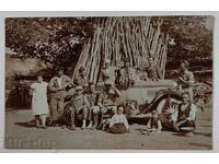 ΡΕΤΡΟ ΑΥΤΟΚΙΝΗΤΟ ΑΥΤΟΚΙΝΗΤΟ ΚΥΝΗΓΙ ΚΥΝΗΓΟΙ ΦΩΤΟΓΡΑΦΙΑ ΒΑΣΙΛΕΙΟ ΒΟΥΛΓΑΡΙΑΣ