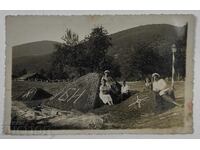 БЪЛГАРИЯ НАД ВСИЧКО БОРИС КРЪСТ ХРАБРОСТ СНИМКА ЦАРСТВО