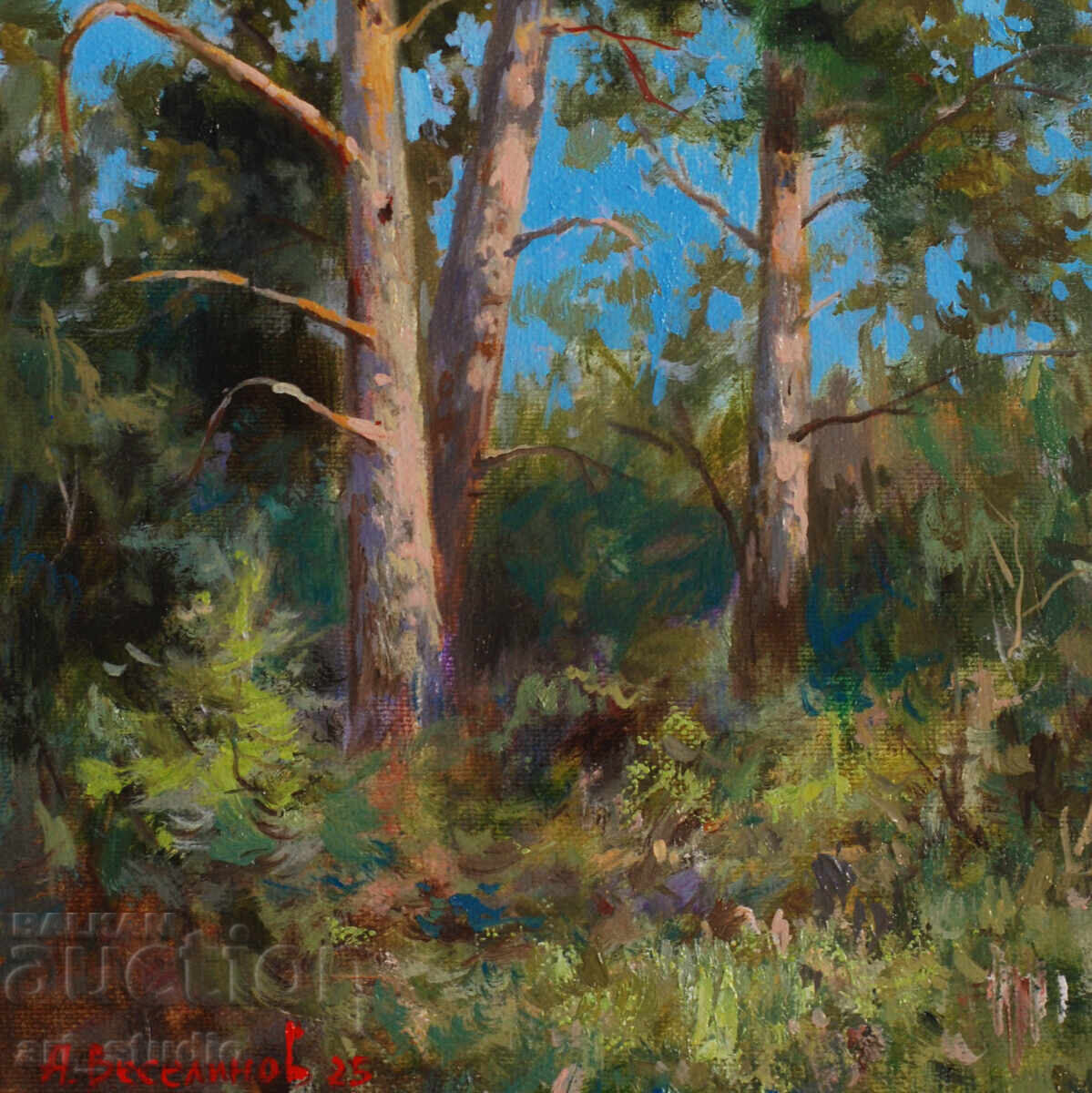 Pinuri - ulei de baie cu preț € 76.69 | 149.99 BGN