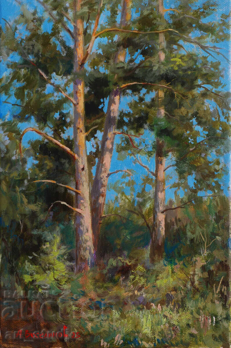 Pinuri - ulei de baie