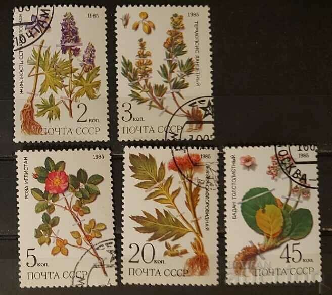 USSR 1985 Flora/Flowers Kleimo USSR 1985 Flora/Flowers Kleimo