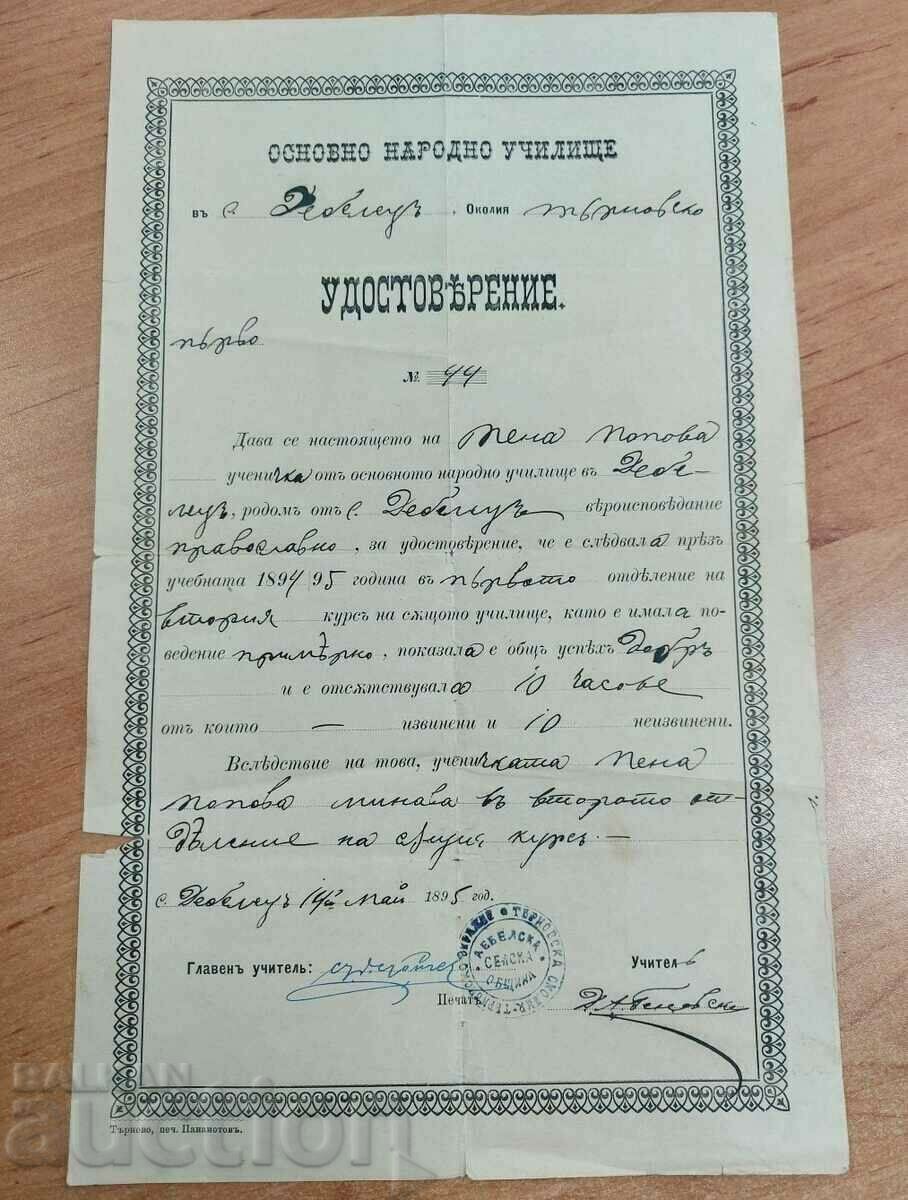 1895 CERTIFICATE BASIC PEOPLE'S SCHOOL DOCUMENT 1895 CERTIFICATE BASIC PEOPLE'S SCHOOL DOCUMENT