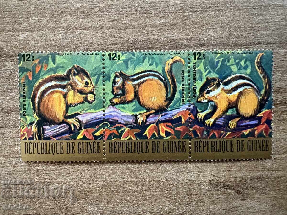 Guineea - Veveriță de palmier indiană (1977) MNH Guineea - Veveriță de palmier indiană (1977) MNH