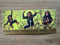 Guineea - Cimpanzeu (1977) MNH