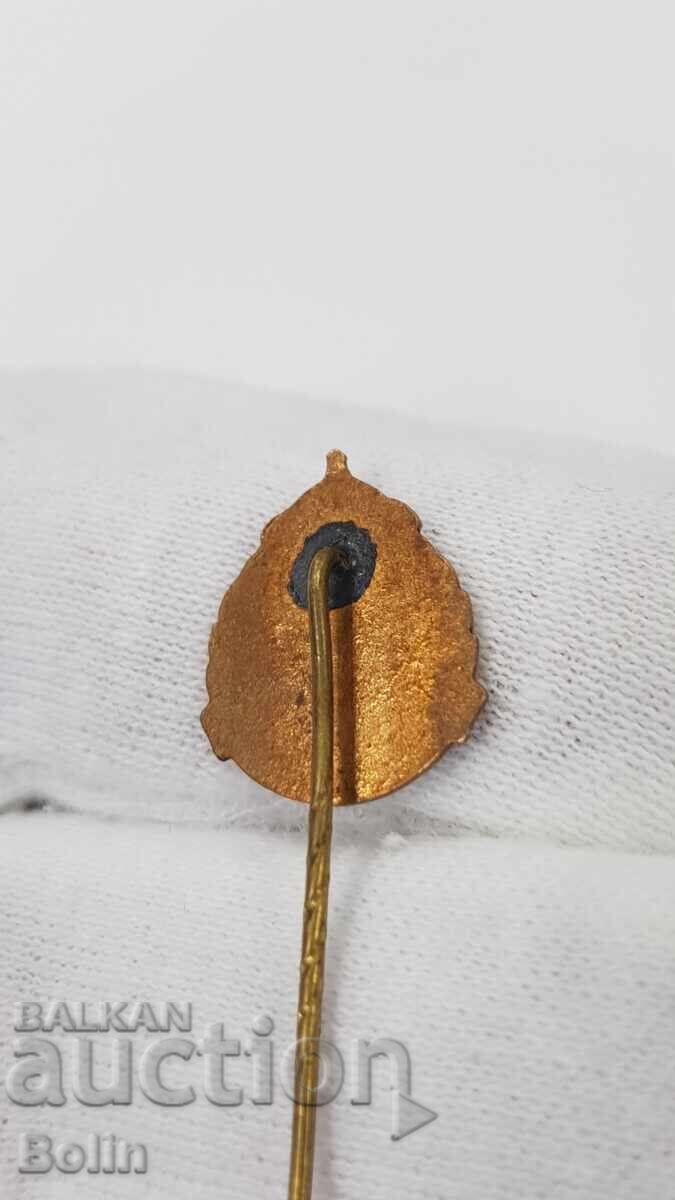 Delivery of Rare Royal Insignia, Red Cross Badge - I Serve - Boris III