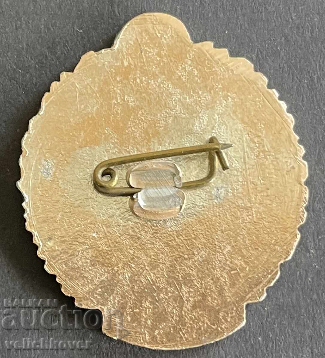 41414 Βουλγαρία γραμματόσημο 35 ετών. Πολεμική Αεροπορία Βουλγαρίας Λαϊκής Δημοκρατίας με τιμή 20.00 BGN | € 10.23