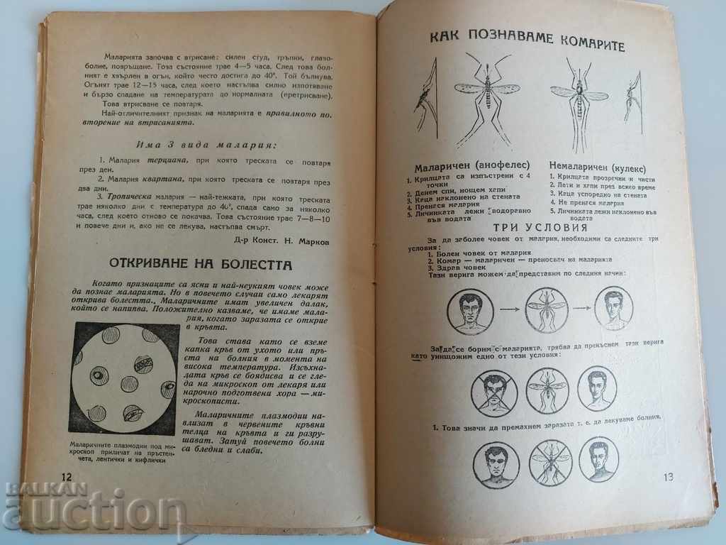 1946 REVISTĂ PENTRU COPII ZDRAVE (Sănătate) ZIAR CARTE PENTRU COPII - 5