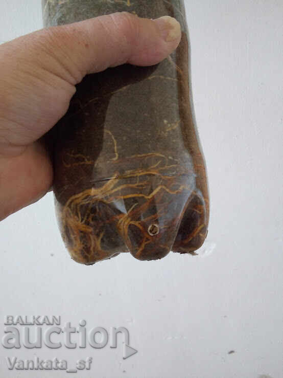 Licitație Smochin - soi Brunswick. Aproximativ 65-75 cm înălțime Licitație Smochin - soi Brunswick. Aproximativ 65-75 cm înălțime