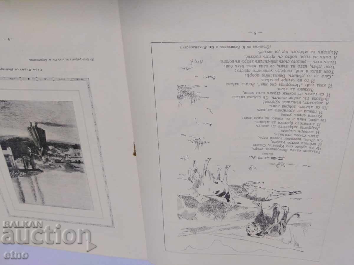 1906 g. #2, ΠΙΝΑΚΟΘΗΚΗ ΓΙΑ ΠΑΙΔΙΑ ΚΑΙ ΝΕΟΥΣ, ΒΑΣΙΛΕΙΟ ΤΗΣ ΒΟΥΛΓΑΡΙΑΣ - 6
