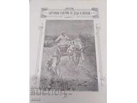 1906 g. #1, ΠΙΝΑΚΟΘΗΚΗ ΓΙΑ ΠΑΙΔΙΑ ΚΑΙ ΝΕΟΥΣ, ΒΑΣΙΛΙΚΗ ΒΟΥΛΓΑΡΙΑ