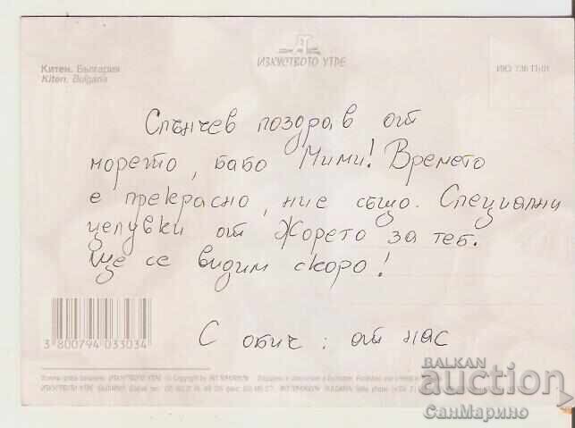 Κάρτα Βουλγαρίας Κίτεν 17* με τιμή 0.80 BGN | € 0.41