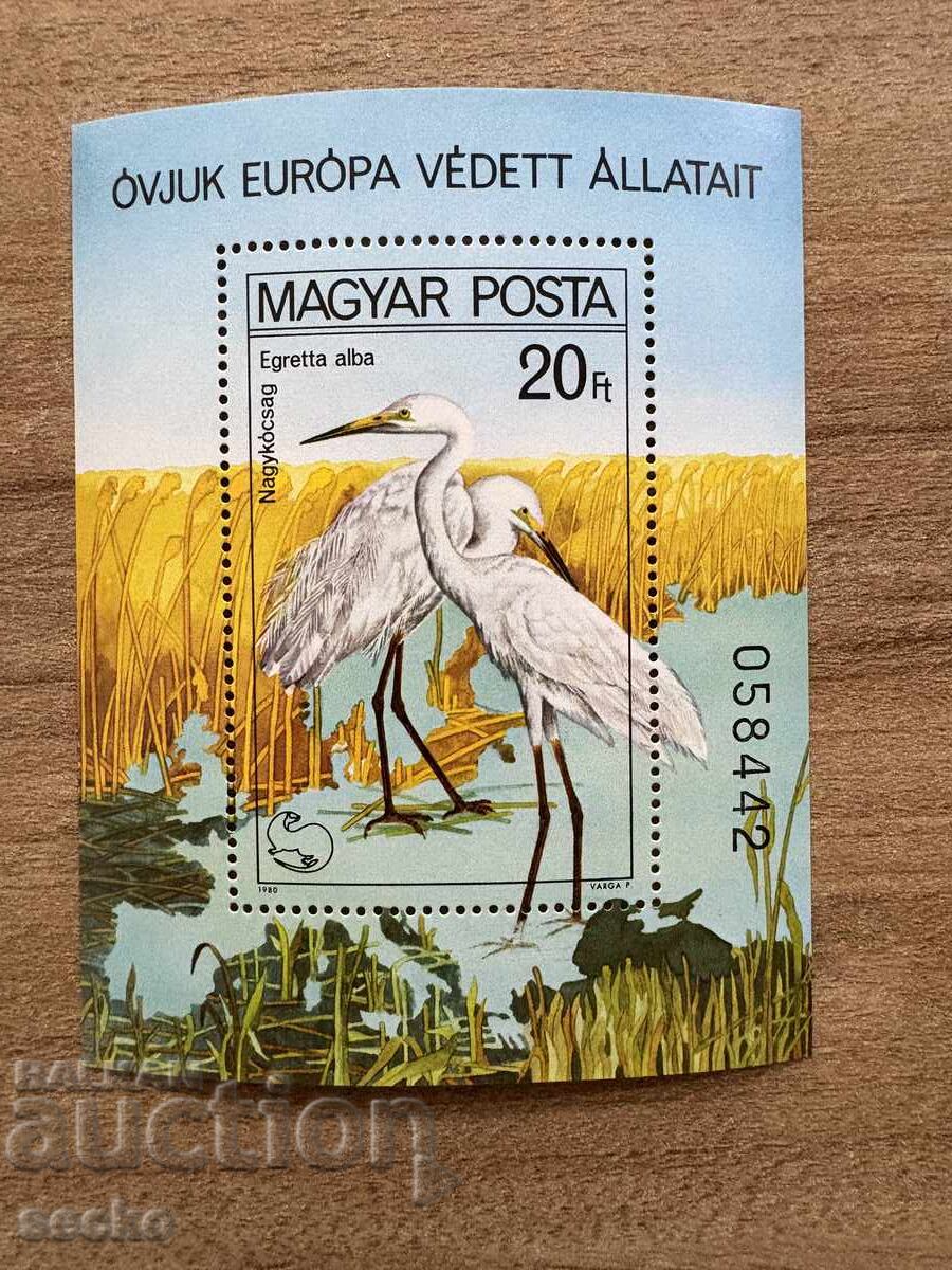 Унгария - Птици - Европейска кампания за защита...(1980) MNH