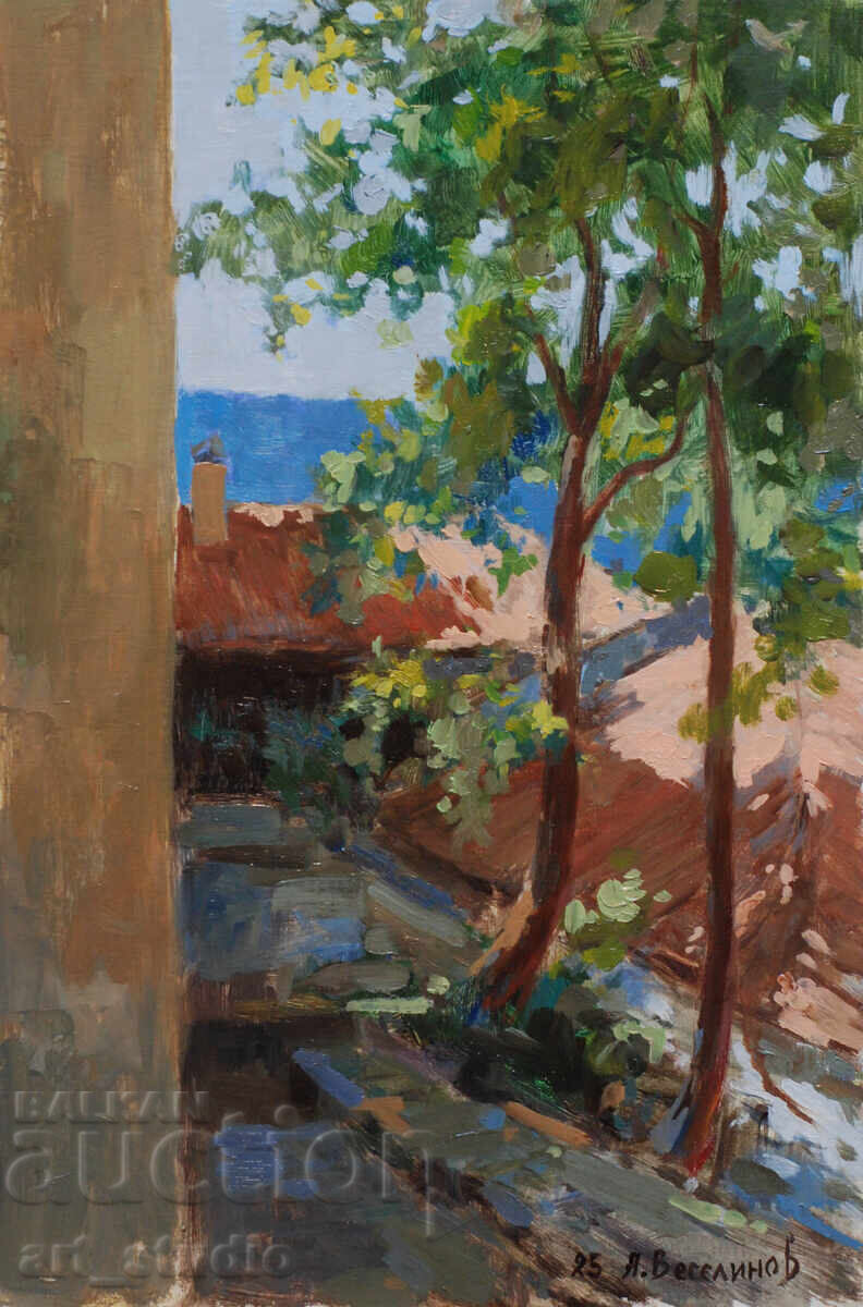 Acoperișuri din Târnovo - vopsele de ulei