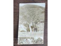 Foto veche Regatul Bulgariei