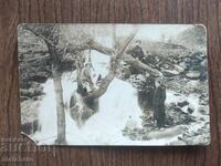 Foto veche Regatul Bulgariei