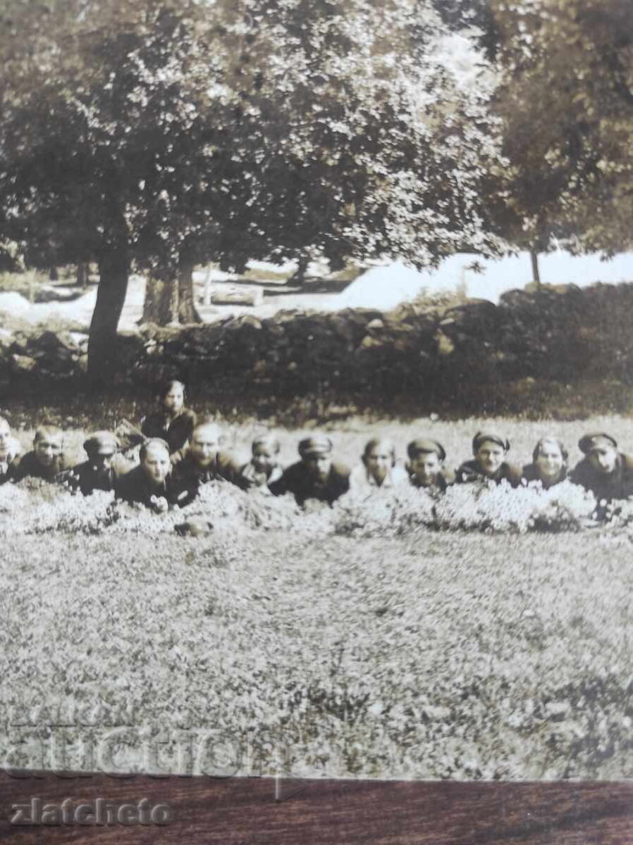 Παλαιά φωτογραφία Βασίλειο της Βουλγαρίας με τιμή 5.00 BGN | € 2.56 Παλαιά φωτογραφία Βασίλειο της Βουλγαρίας με τιμή 5.00 BGN | € 2.56