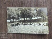 Foto veche Regatul Bulgariei