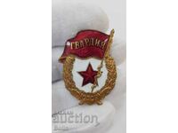 Russian USSR Military Badge, Guards 1960 - 1970