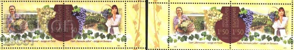 Καθαρές σφραγίδες Οινοποιία από κοινού Ρωσία 2019 Βουλγαρία Καθαρές σφραγίδες Οινοποιία από κοινού Ρωσία 2019 Βουλγαρία