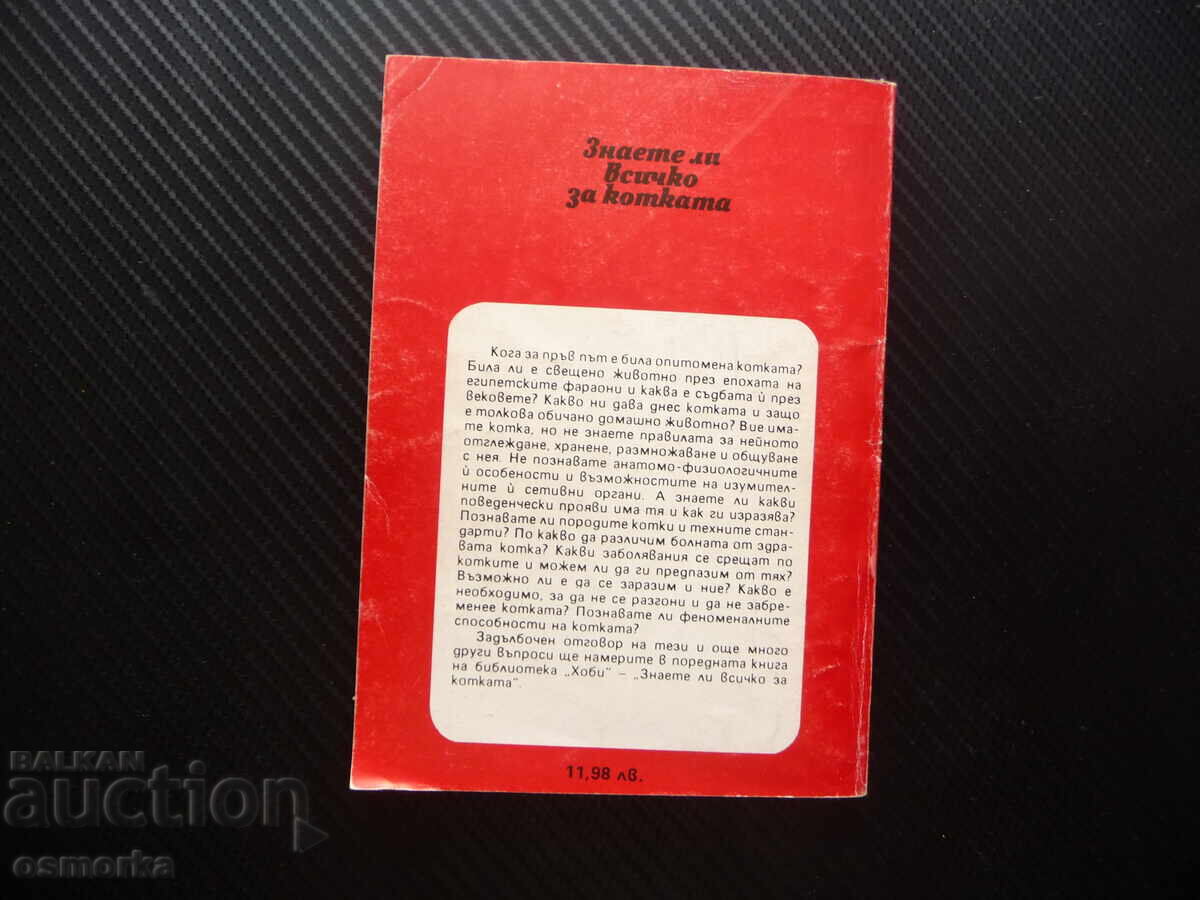 Delivery of Do you know everything about the cat Veselin Denkov kittens cats mice