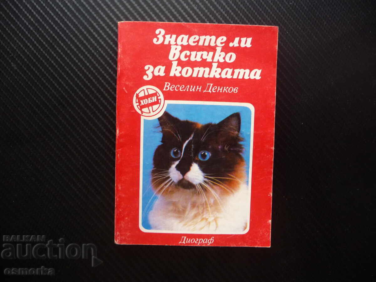 Do you know everything about the cat Veselin Denkov kittens cats mice