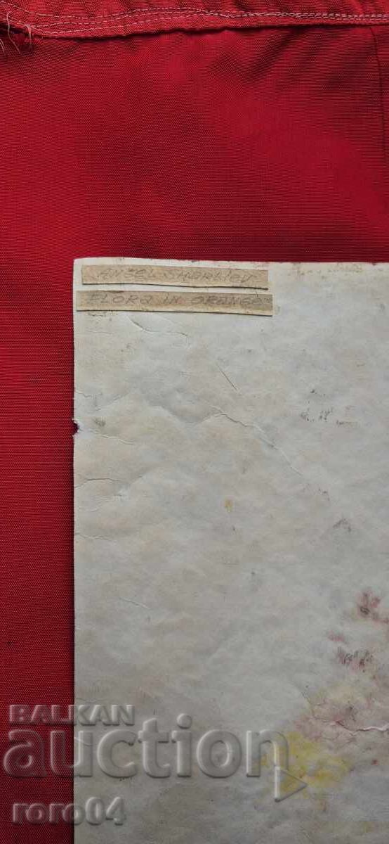 АНГЕЛ ШАРЛИЕВ - ФЛОРА В ОРАНЖ - 1988 г. - 7 АНГЕЛ ШАРЛИЕВ - ФЛОРА В ОРАНЖ - 1988 г. - 7