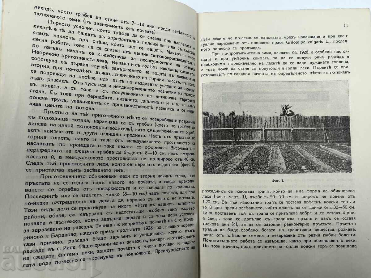 Принос към проучване на тютюневата култура в България - 5 Принос към проучване на тютюневата култура в България - 5