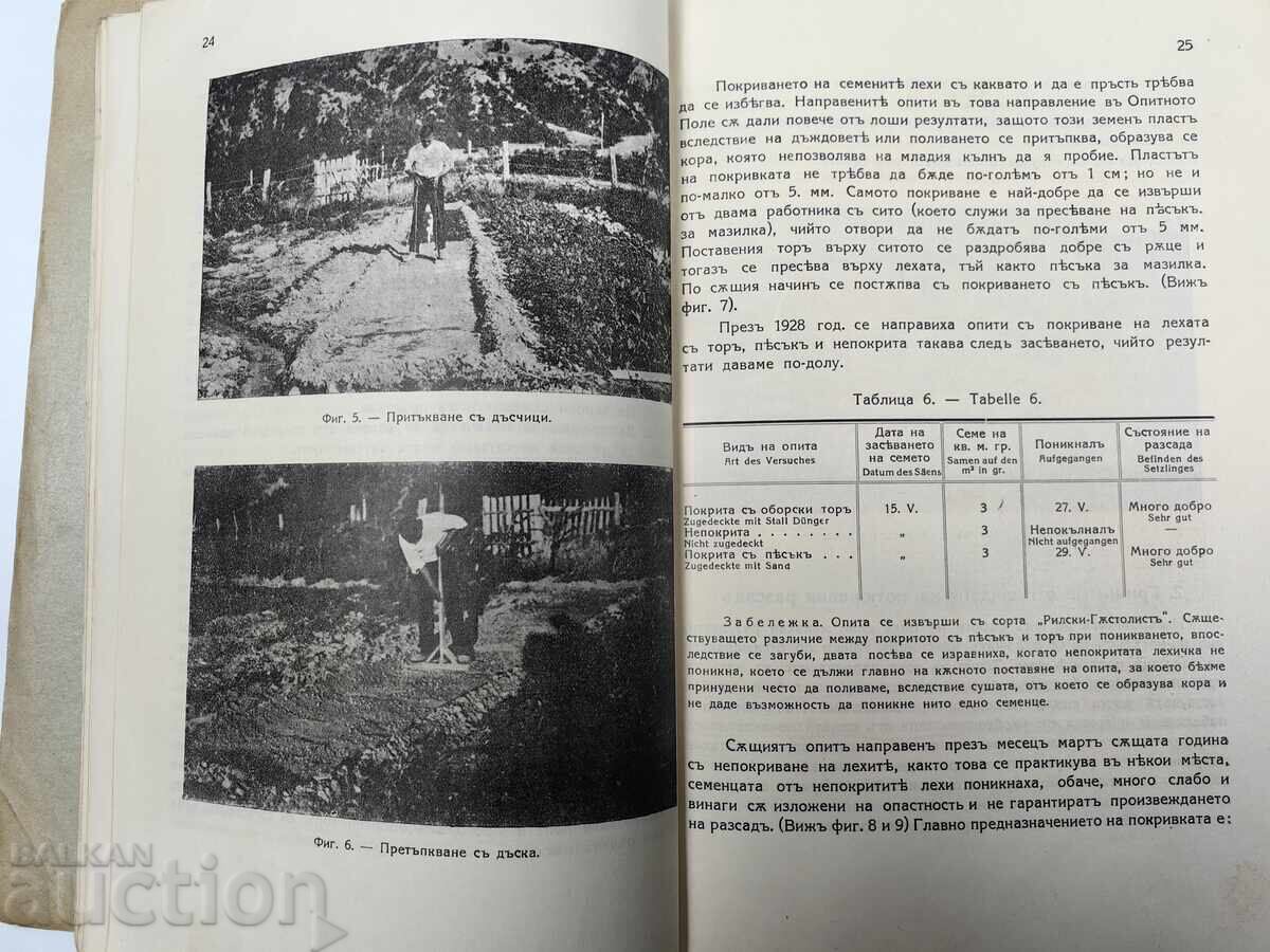 Принос към проучване на тютюневата култура в България - 6 Принос към проучване на тютюневата култура в България - 6