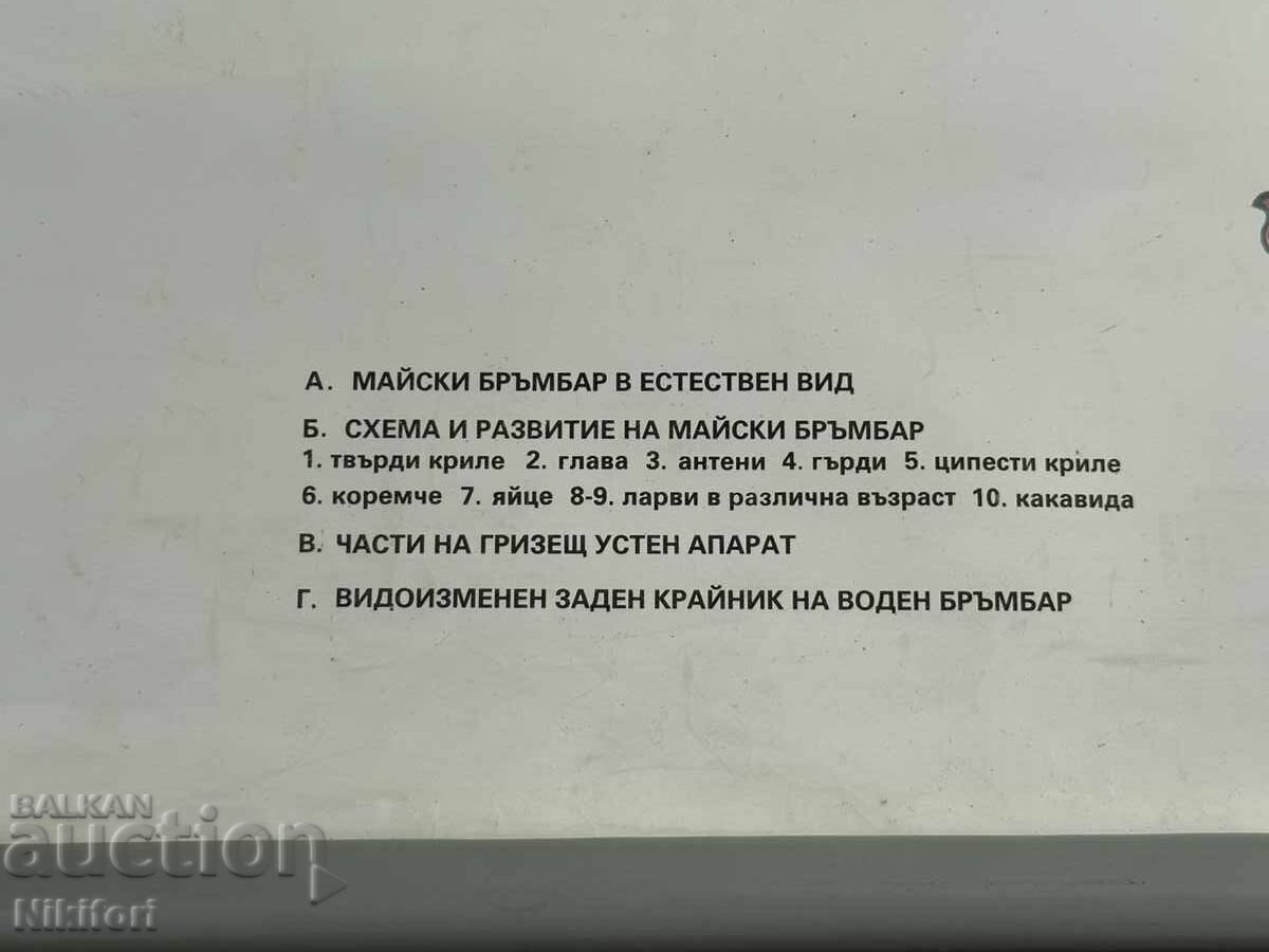 Livrarea Planșă didactică socială poster