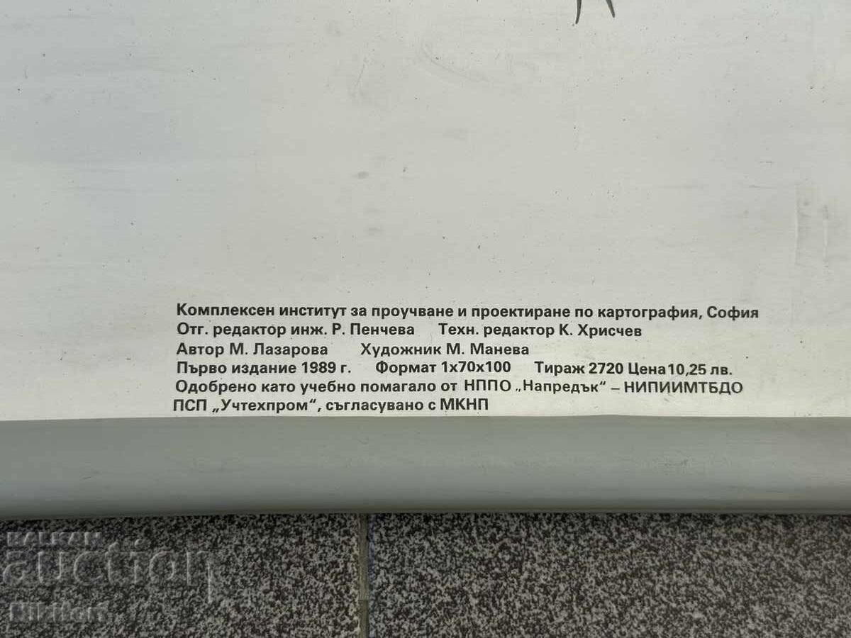 Planșă didactică socială poster - 5