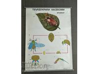 Planșă didactică socială poster