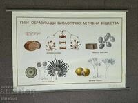 Social Educational Poster Board Poster