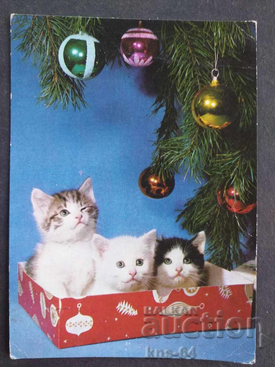 CHNG Congratulations