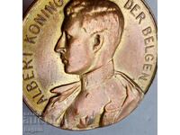 Medalie de bronz regală