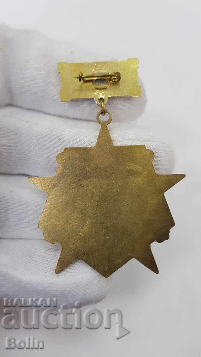 Rare Bulgarian Communist Sign, Artillery Badge - 5
