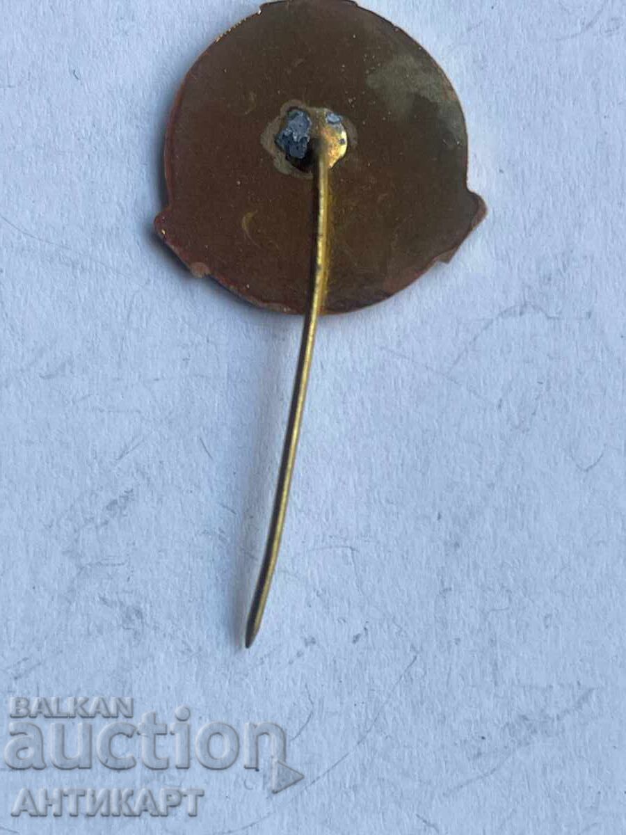 Auction Rare Red Cross Youth Excellent Student Badge Bronze Enamel Auction Rare Red Cross Youth Excellent Student Badge Bronze Enamel