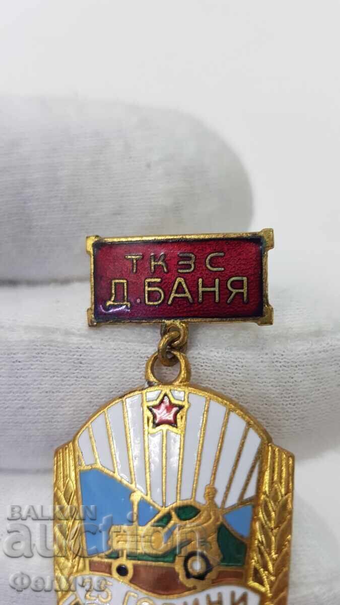 Licitație Semn rar comunist, insignă T.K.Z.S.-D. BANYA