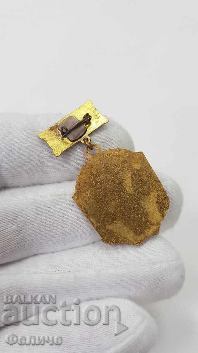 Livrarea Semn rar comunist, insignă T.K.Z.S.-D. BANYA