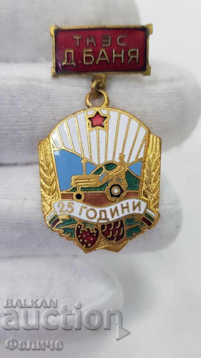 Рядък комунистически знак, значка ТКЗС-Д. БАНЯ