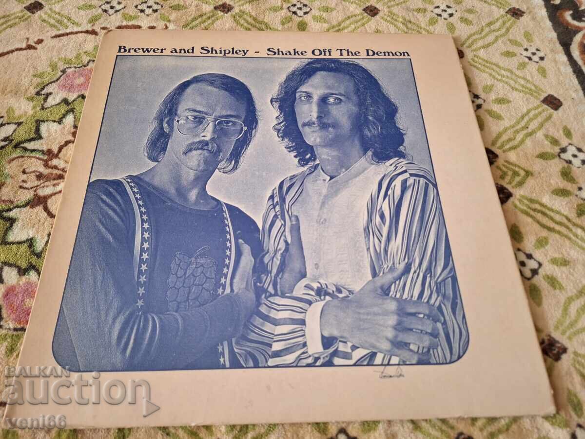 Δίσκος βινυλίου - Μπρέβερ και Σίρλεϊ Δίσκος βινυλίου - Μπρέβερ και Σίρλεϊ