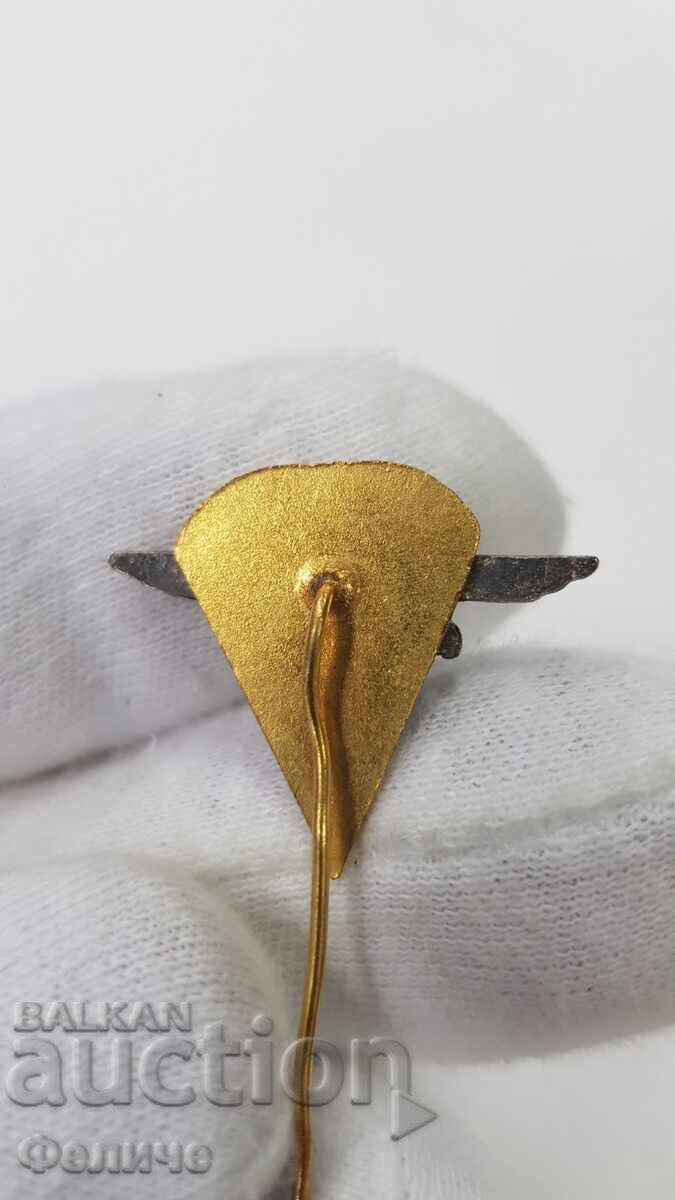 Delivery of Rare Communist Badge, Parachute Pin, Paratrooper