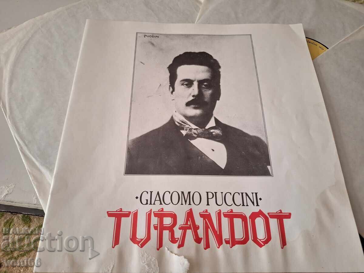 Licitație Set de discuri de gramofon - Puccini