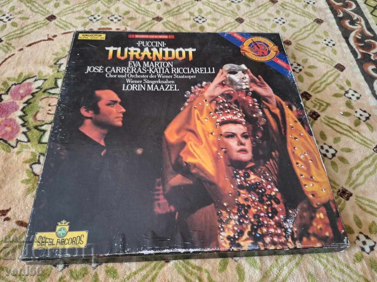 Set de discuri de gramofon - Puccini