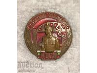 Semn ecuson Specialist Constructor GUSV bronz email