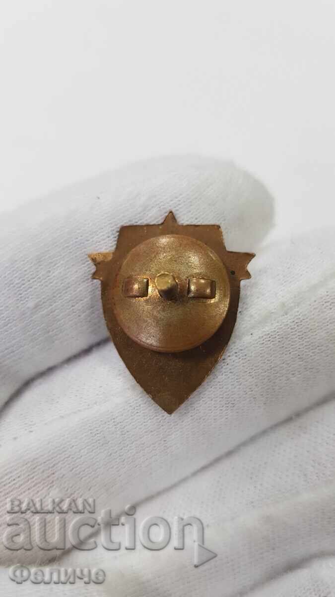 Auction  Early Communist Sign, GSO-1960 Badge Red Cross