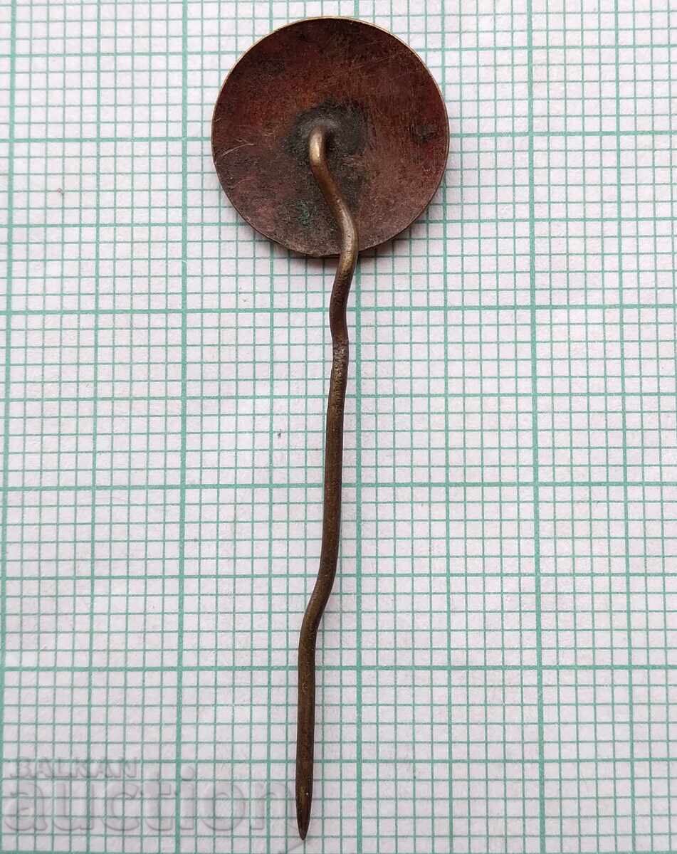 Licitație 19200 Companie internațională de vagoane de dormit - email Licitație 19200 Companie internațională de vagoane de dormit - email