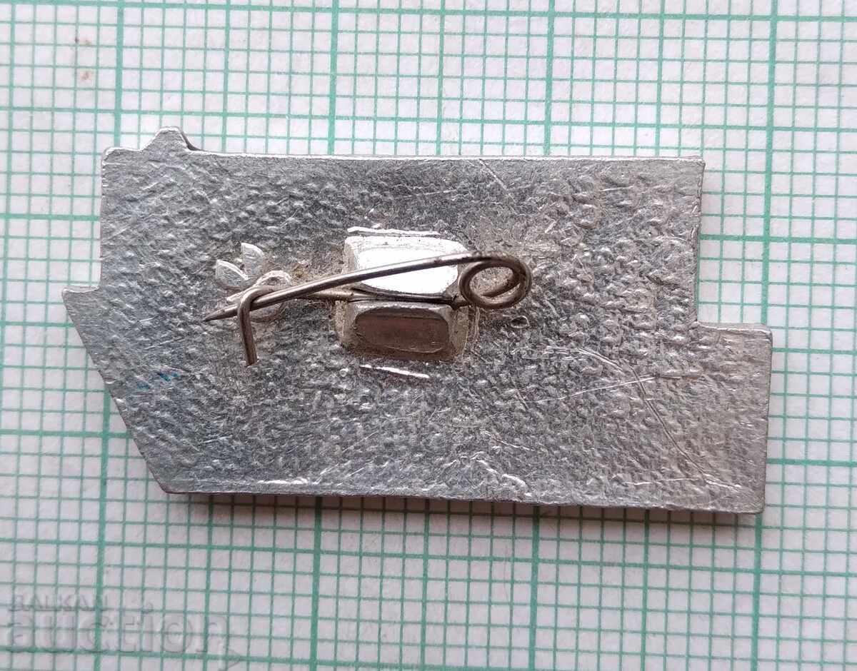 Licitație 19203 Insigna - Detașament Studențesc 1982 Licitație 19203 Insigna - Detașament Studențesc 1982