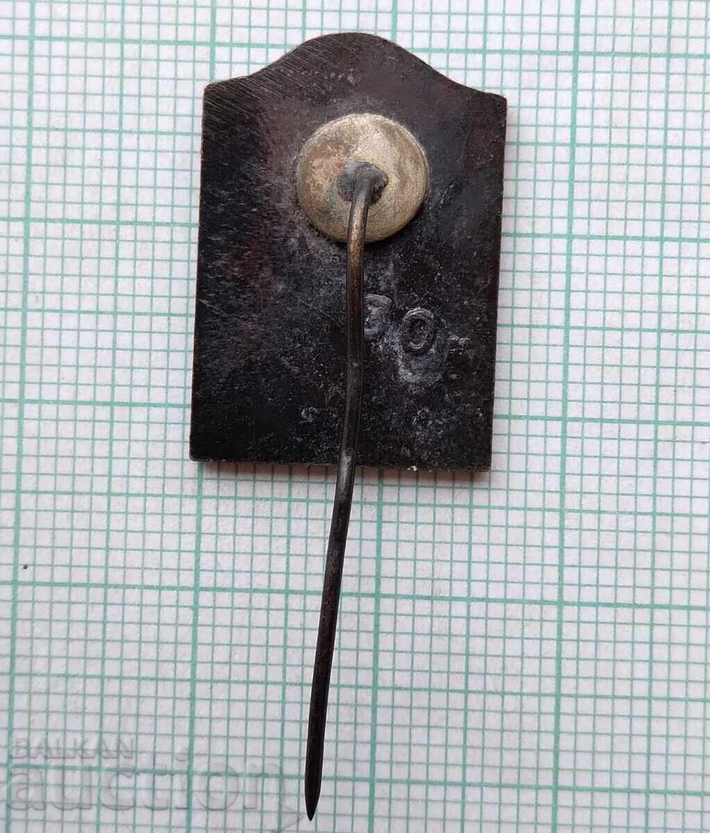 Аукцион 19204 Значка - Пушкин