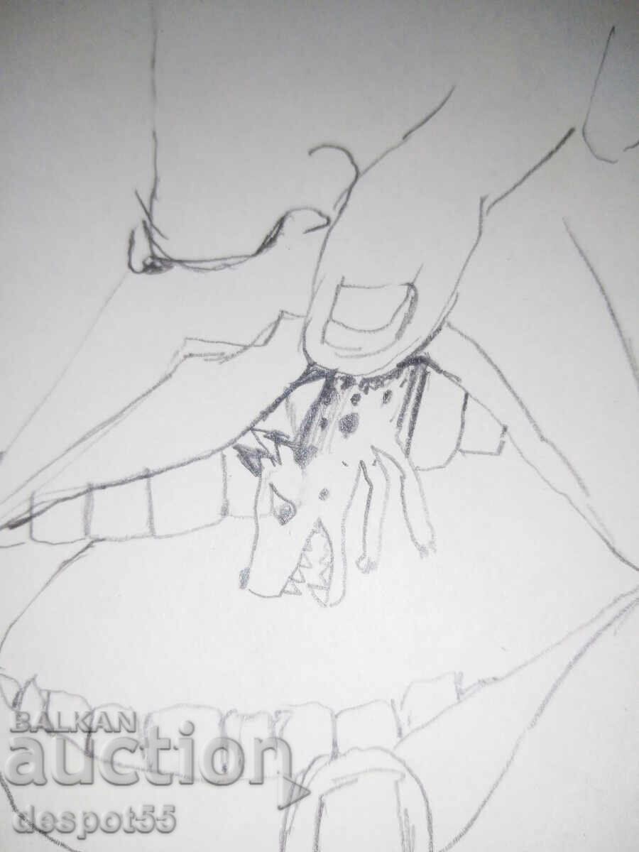 Аукцион 1988. Италия. Quintino Scolavino. Малкото куче.