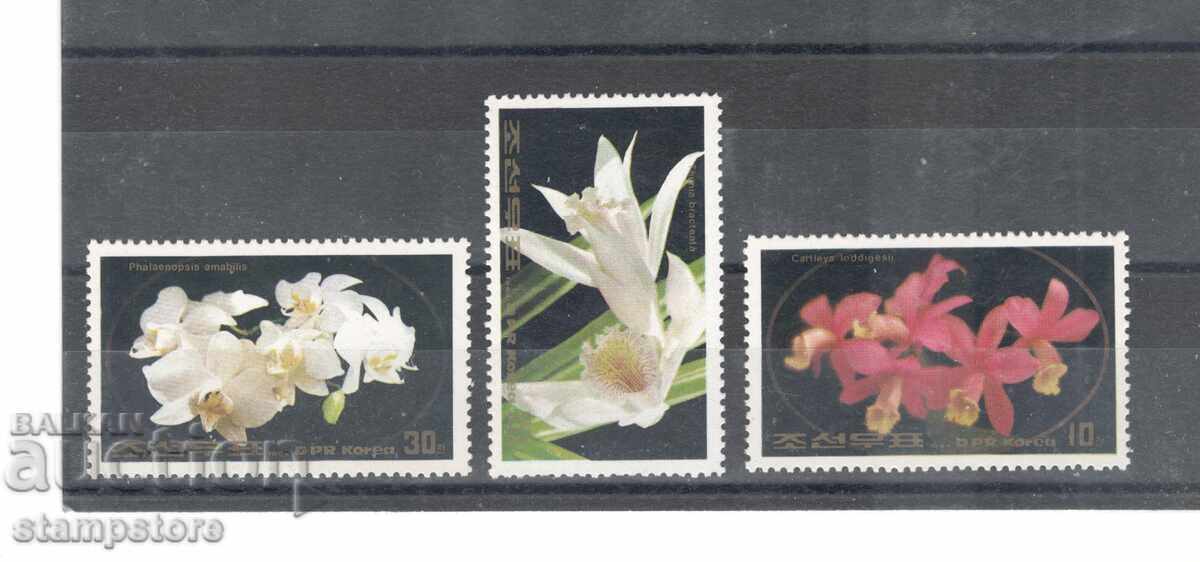 North Korea - Flowers